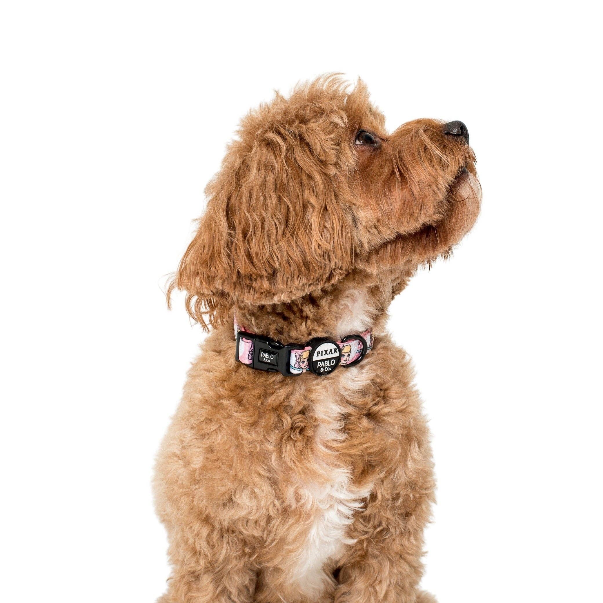 Pablo & Co. Boutique - Wholesale Pet Collar - Dog - Toy Story - Bo Peep: Dog Collar1