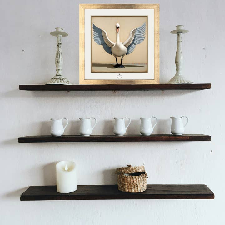 Odalisque Paris - Wholesale Art Print - Swan Pack + Illustration1