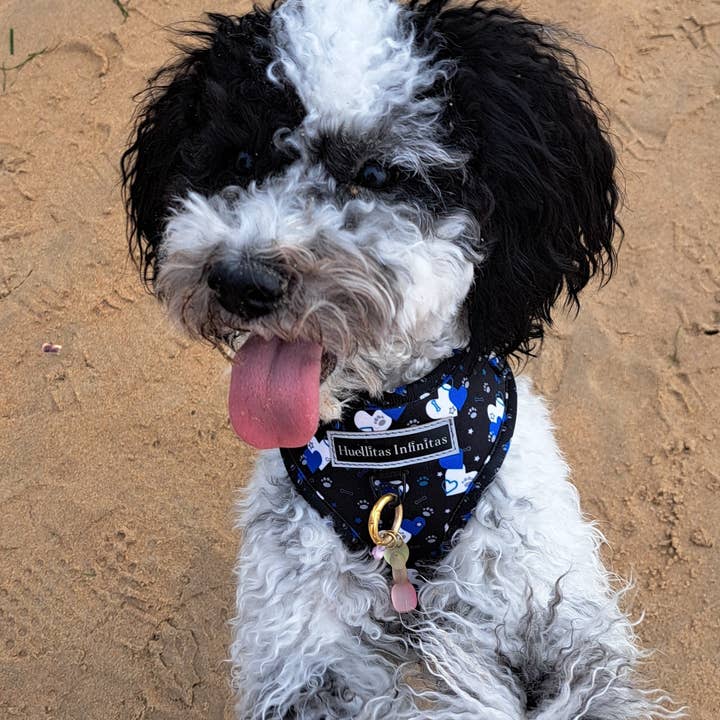 HUELLITAS INFINITAS - Wholesale Tuig voor huisdieren - Hond - Fantasy Hearts verstelbaar harnas7