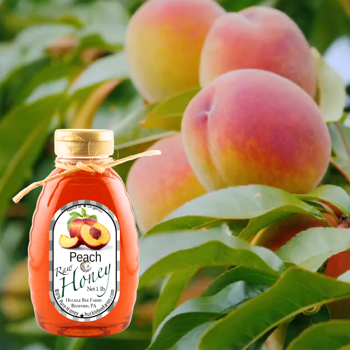 Huckle Bee Farms LLC - Wholesale Honey - Peach Infused Raw Honey1