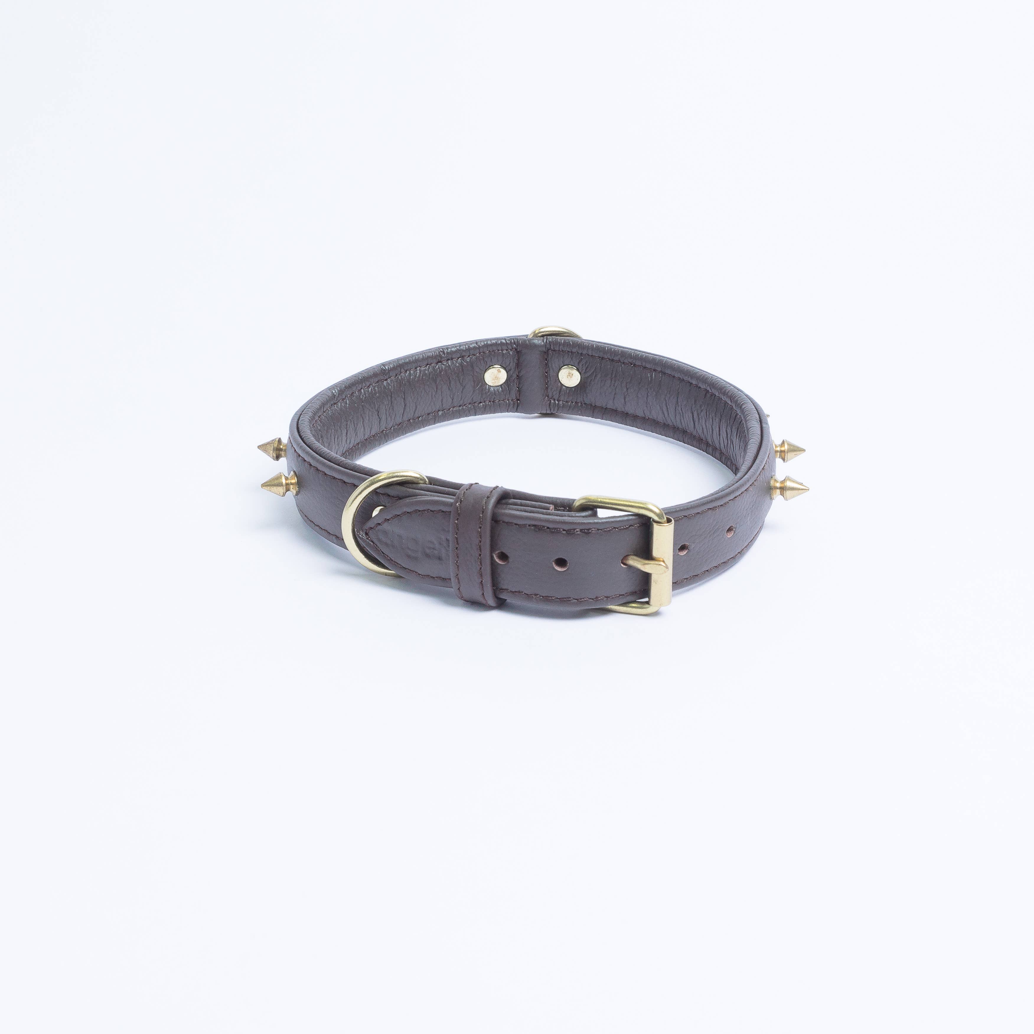 Angel Pet Supplies Inc. - Wholesale Pet Collar - Dog - Rotterdam Spiked Dog Collar by ANGEL™12