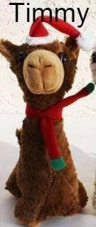 Choice Alpaca Products - Venta al por mayor Peluche - Niños y bebés - Peluches de Alpaca Pacabuddies24