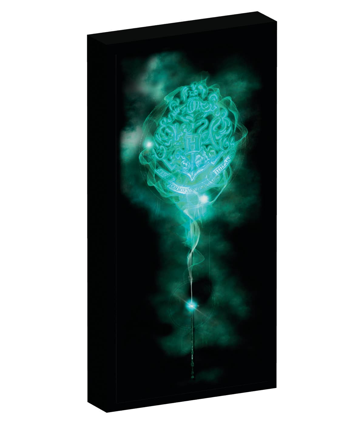 Joy Toy - Wholesale Night Light - Kids & Baby - HARRY POTTER CANVAS WITH 6 LED LIGHTS0