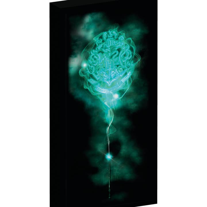 Joy Toy - Wholesale Night Light - Kids & Baby - HARRY POTTER CANVAS WITH 6 LED LIGHTS