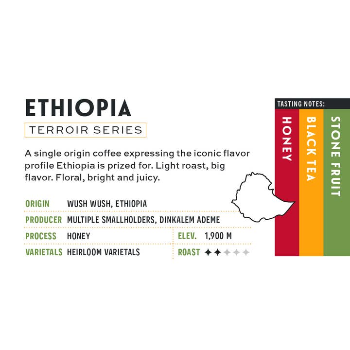 Ethiopia: Terroir Series for wholesale by De Fer Coffee & Tea