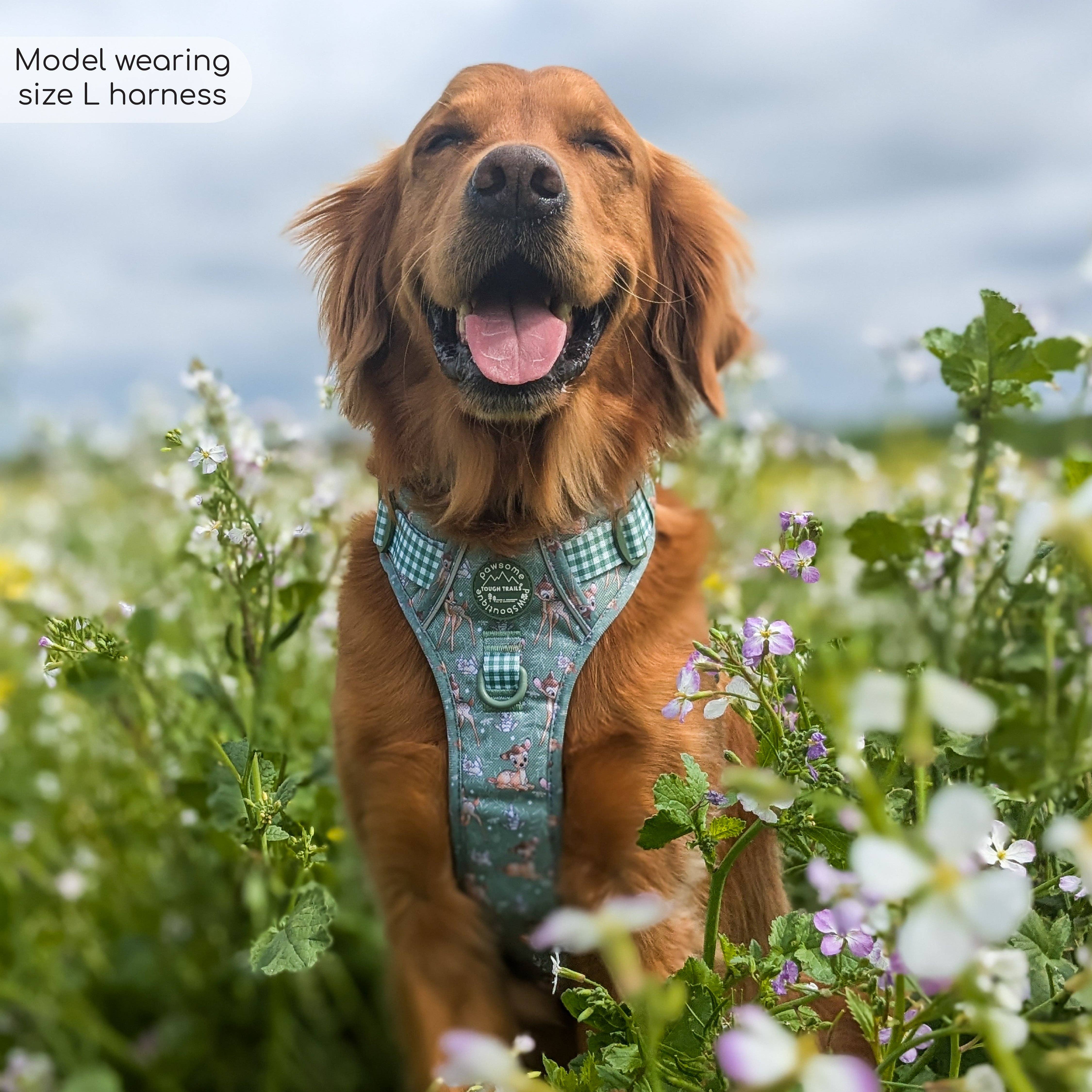 Pawsome Paws - Wholesale Tuig voor huisdieren - Hond - Disney© Tough Trails™ tuigje - Bambi en Stampertje2