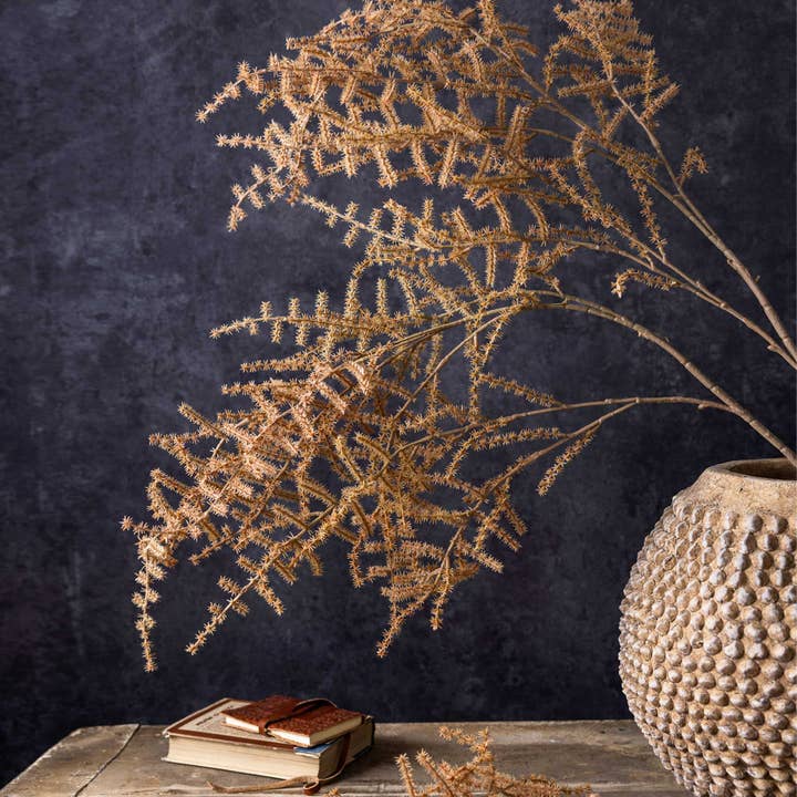Abigail Ahern - Wholesale Artificial Plant - ARTIFICIAL ASPARAGUS FERN DESERT