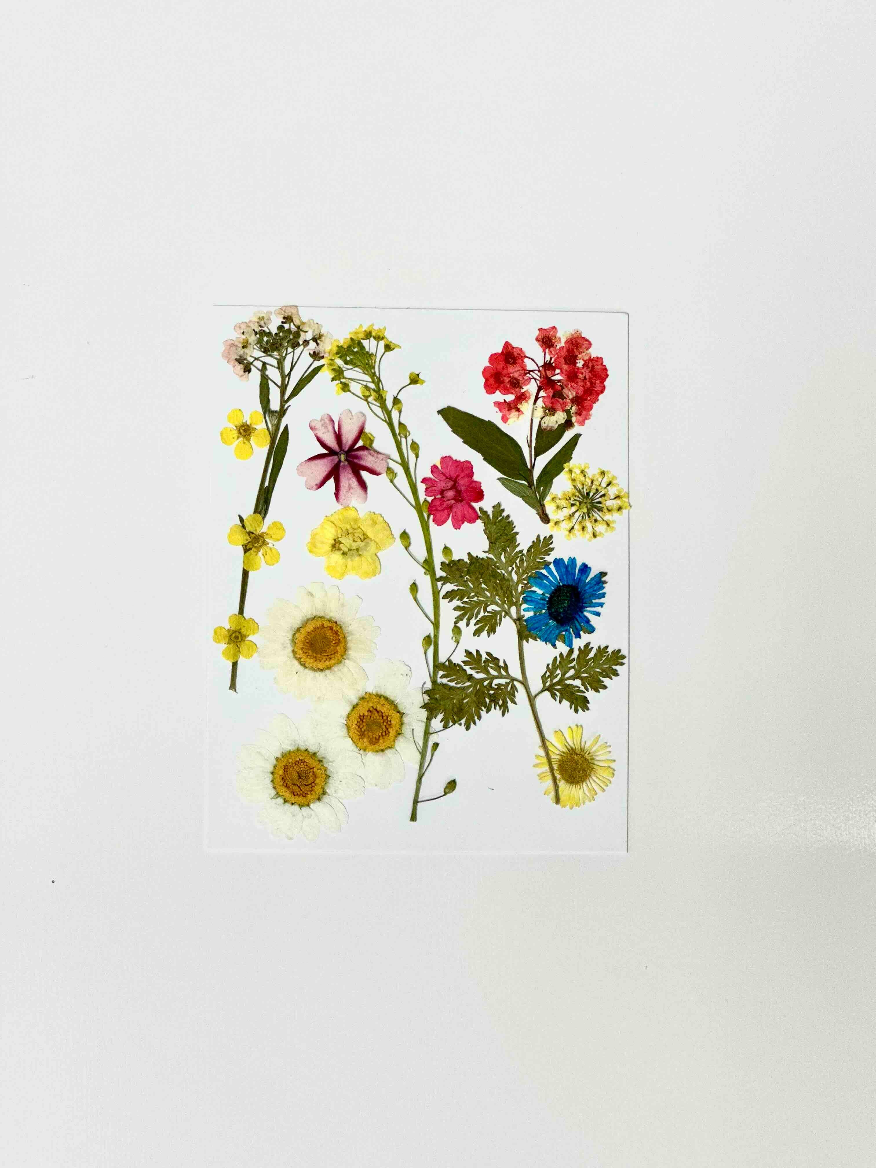 MakerFlo - Wholesale DIY Craft Kit - UV Resin Kit1