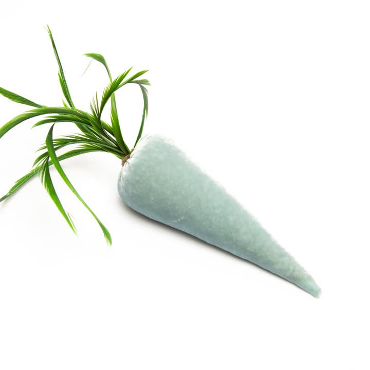 Carrot - Seafoam for wholesale by Hot Skwash