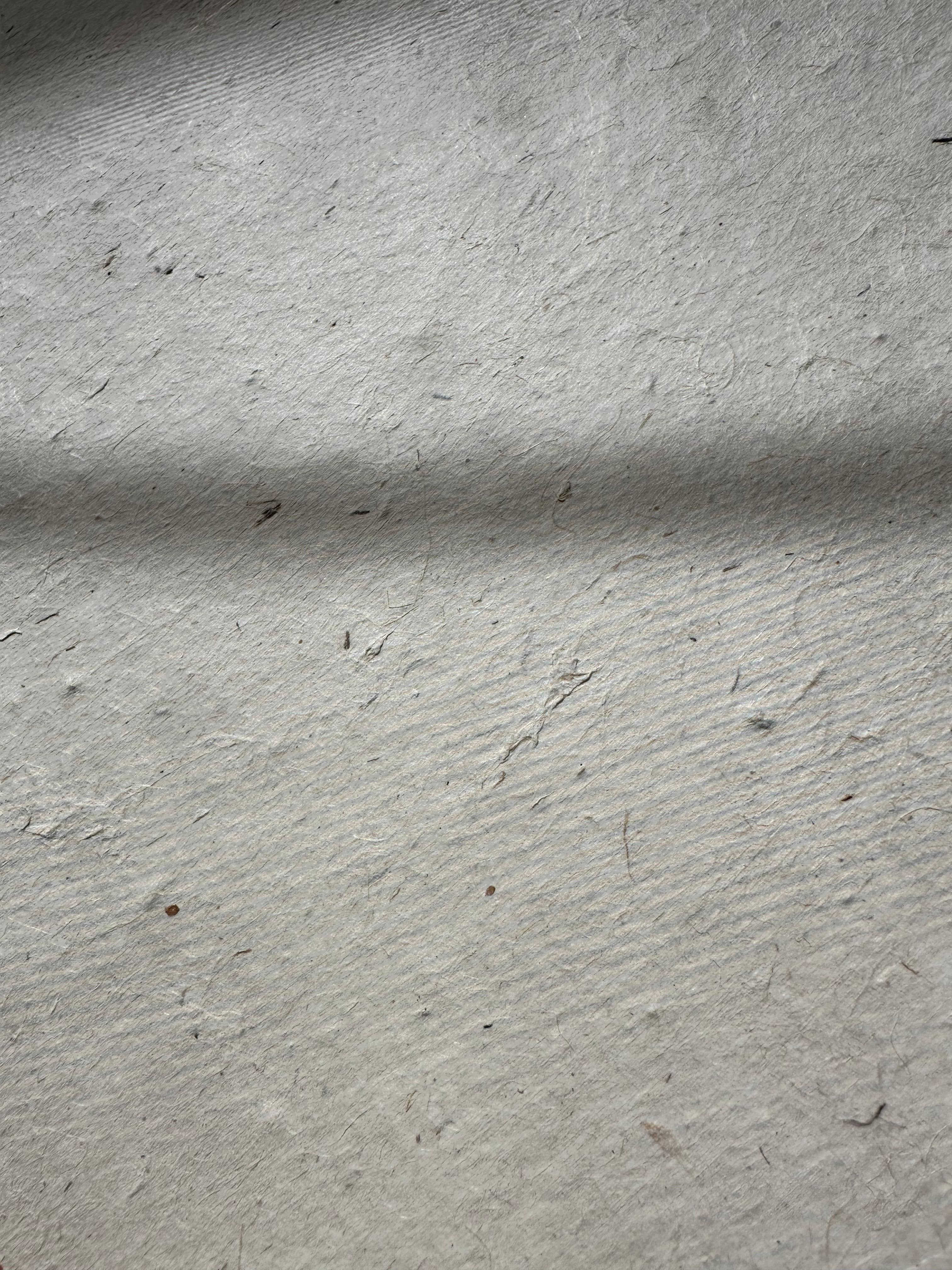 Dainty Little Tiny Things - Wholesale Stationery/Notecard Set - 10 Sheets Cover Weight Seed Paper 8.5"x11"2