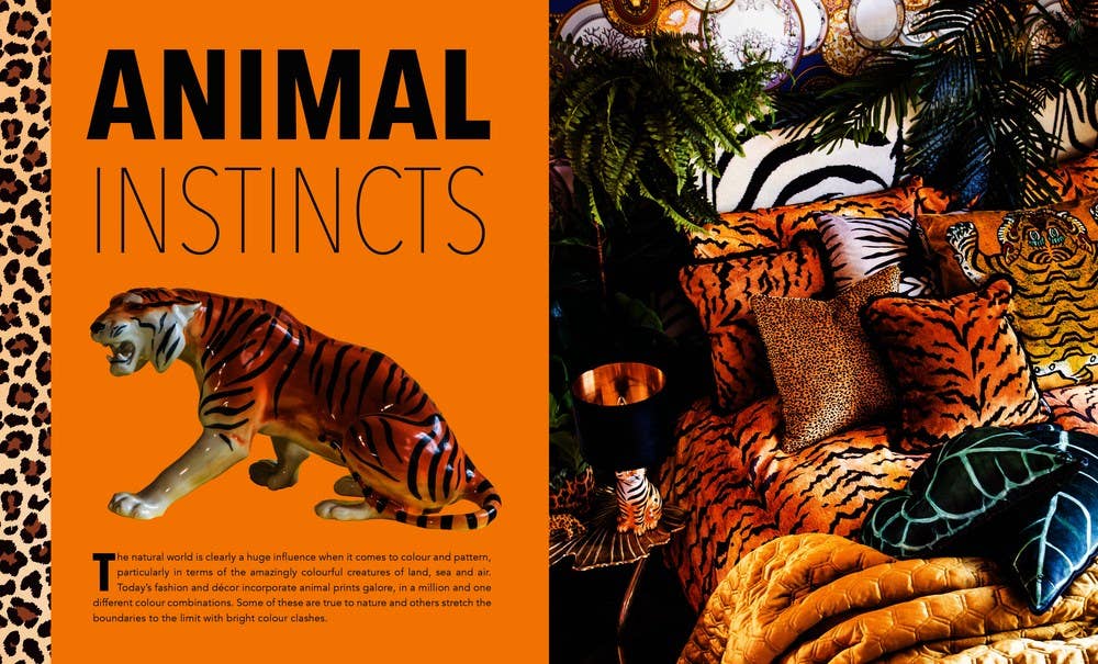 Independent Publishers Group - Wholesale Home & Garden - More Is More Décor: A Handbook For Maximalists6