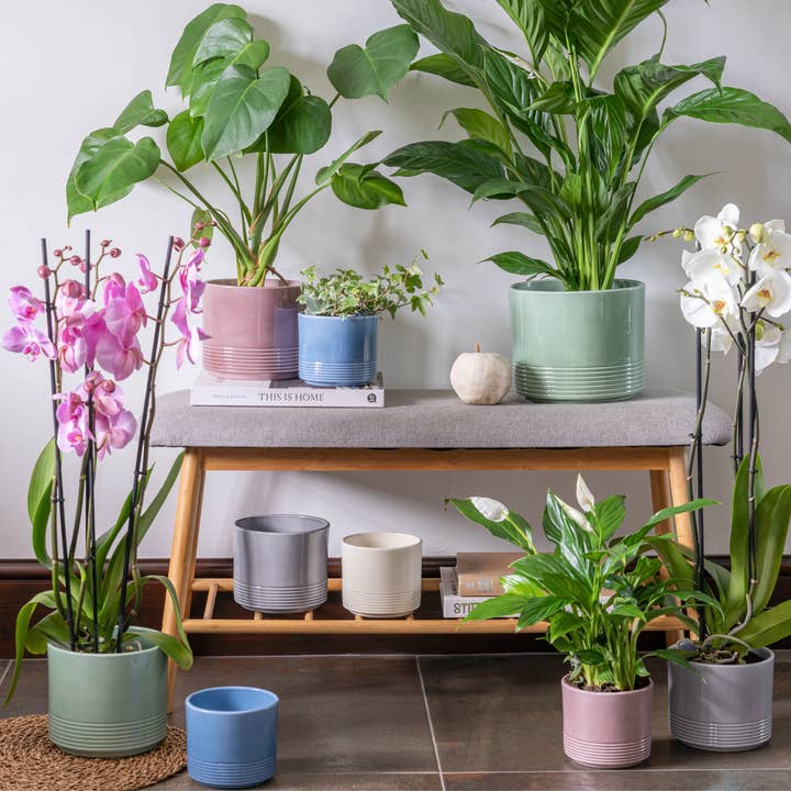 Munich Gloss Planter H19.5cm D23cm for wholesale by Ivyline