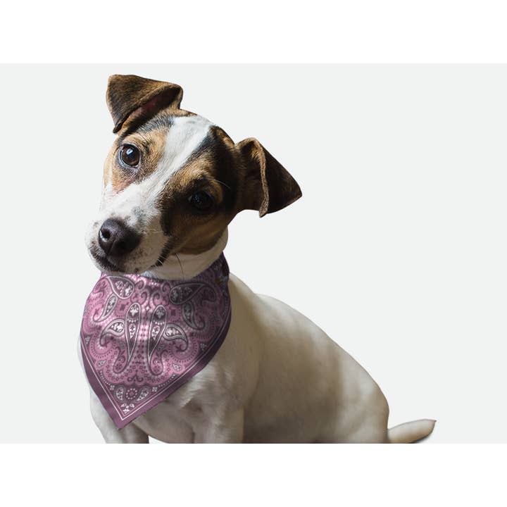 Bandoggies Breeze Pet Bandana - Small Lilac Paisley for wholesale by Bandoggies