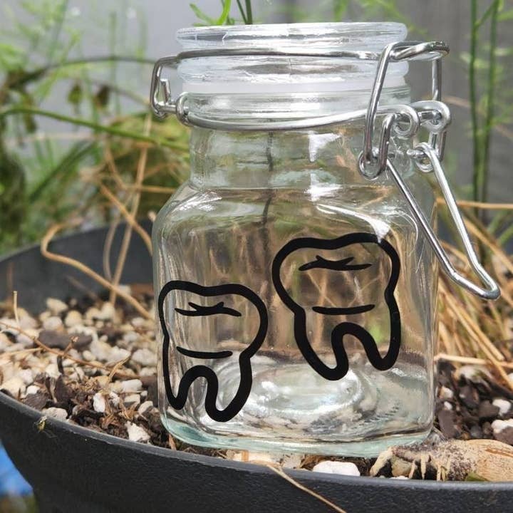 Decorative Tooth Jar Glass Container - Witchcore Crowcore for wholesale by Hawburns Studio