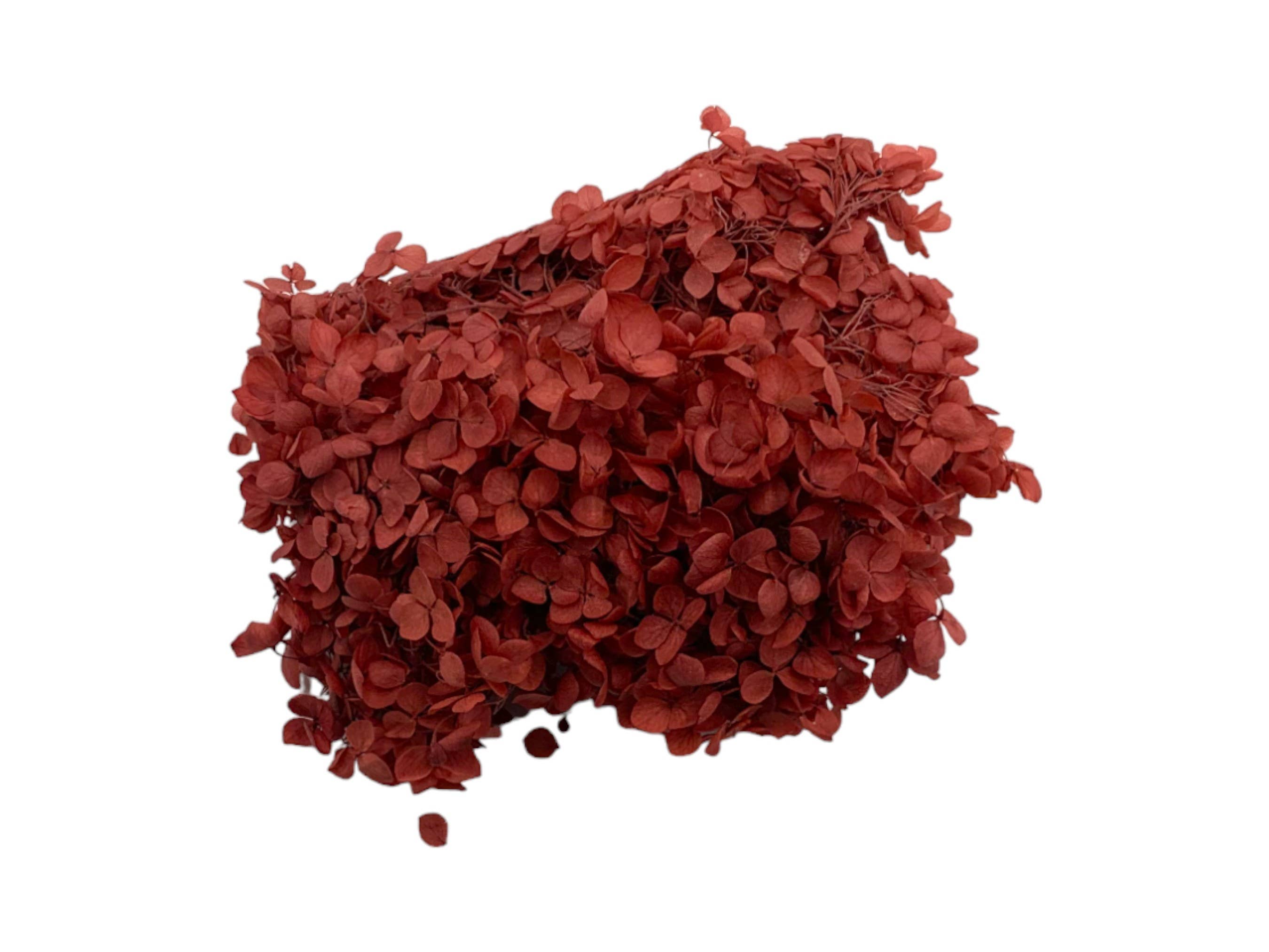 2626 Designs - Vente Fleur séchée/pressée - Boîte d'hortensias Anna préservés4