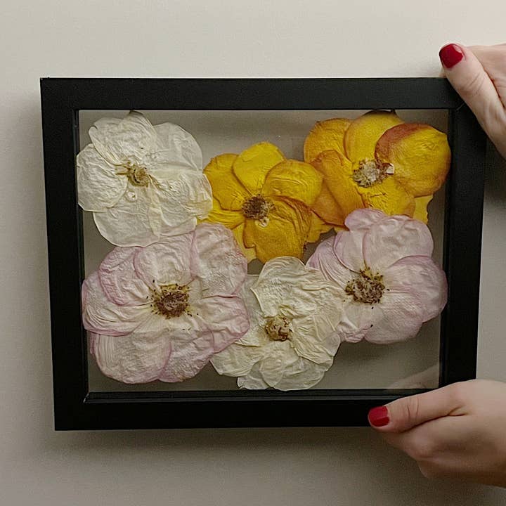 Six Roses Pressed Floral Frame - 8x10 for wholesale by Ever Be Floral