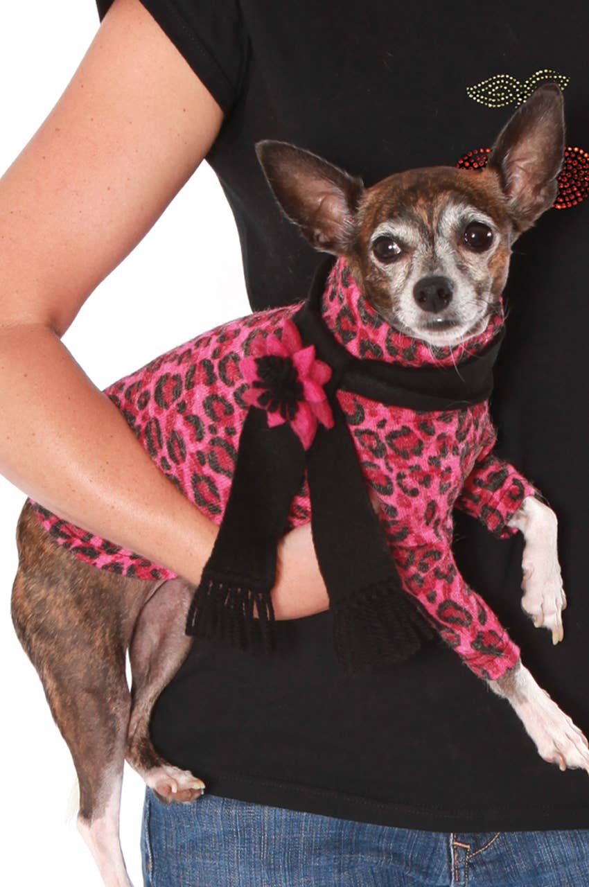 Dog in the Closet – wholesale Klänning - Hund – Ava rosa Leopard hund tröja klänning2