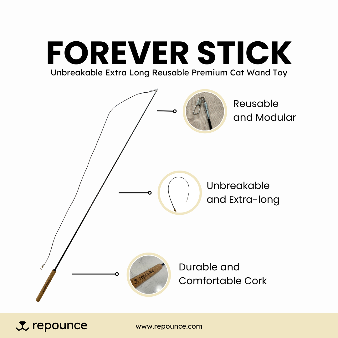 Repounce - Wholesale Pet Toy - Cat - Forever Stick™ - The Unbreakable Cat Wand4