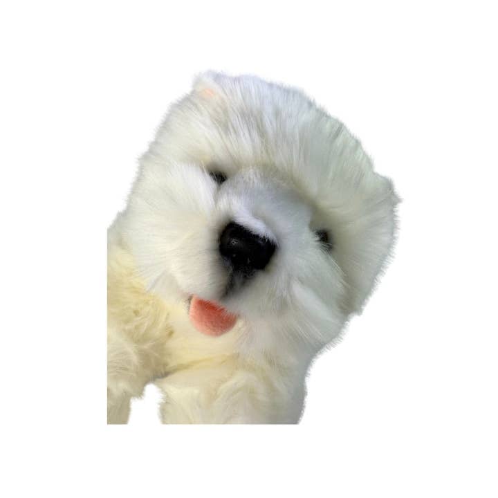 Bocchetta Plush Toys - Vendita all'ingrosso Peluche - Bambini e neonati - Pookie - Westie - 28 cm morbido7