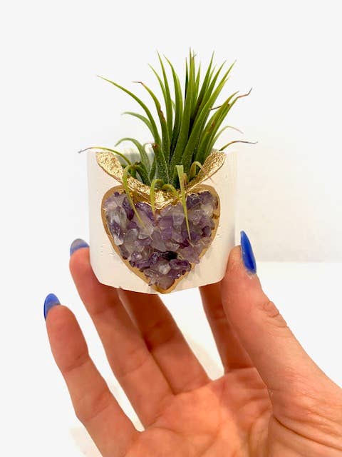 Plant One On Me Designs - Wholesale Plant pot - Amethyst HEART Geode Planter w/ Air Plant - Air Plant Holder5