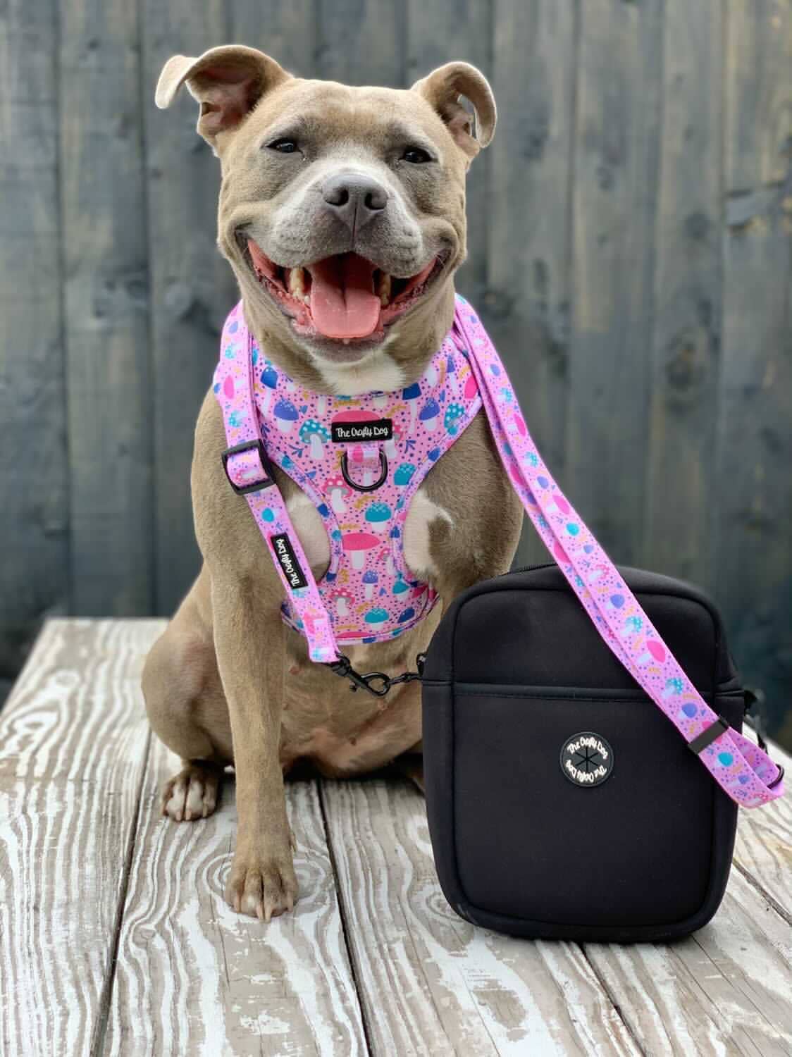 The Crafty Dog Co – Großhandel Haustiergeschirr – Hund – Rougegurt-Geschirr3