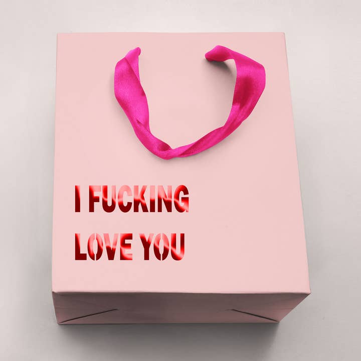 I Fucking Love You Funny Gift Bag for wholesale by Crimson and Clover Studio