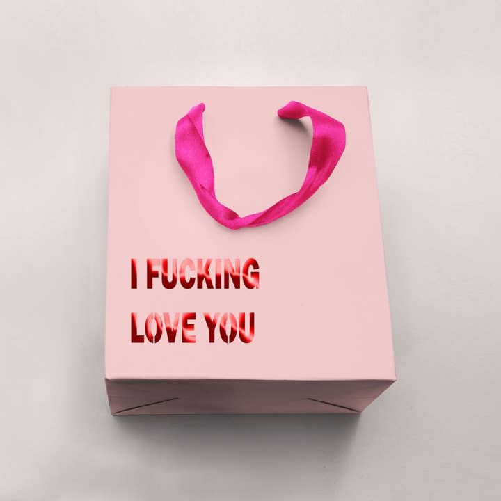 I Fucking Love You Funny Gift Bag for wholesale by Crimson and Clover Studio