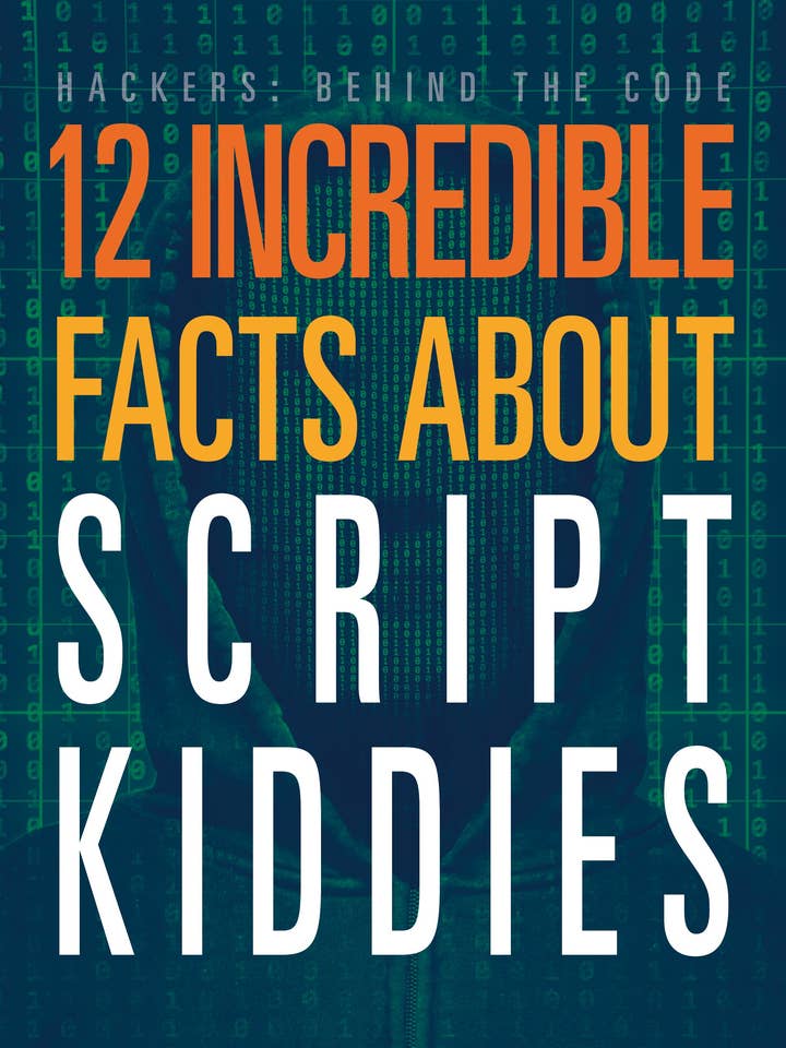 12 Incredible Facts about Script Kiddies for wholesale by Black Rabbit Books