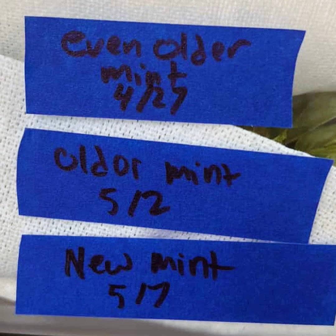 Mover & Shaker – wholesale Tape – Blue Tape (Single Roll at 1" x 55 Yards)2