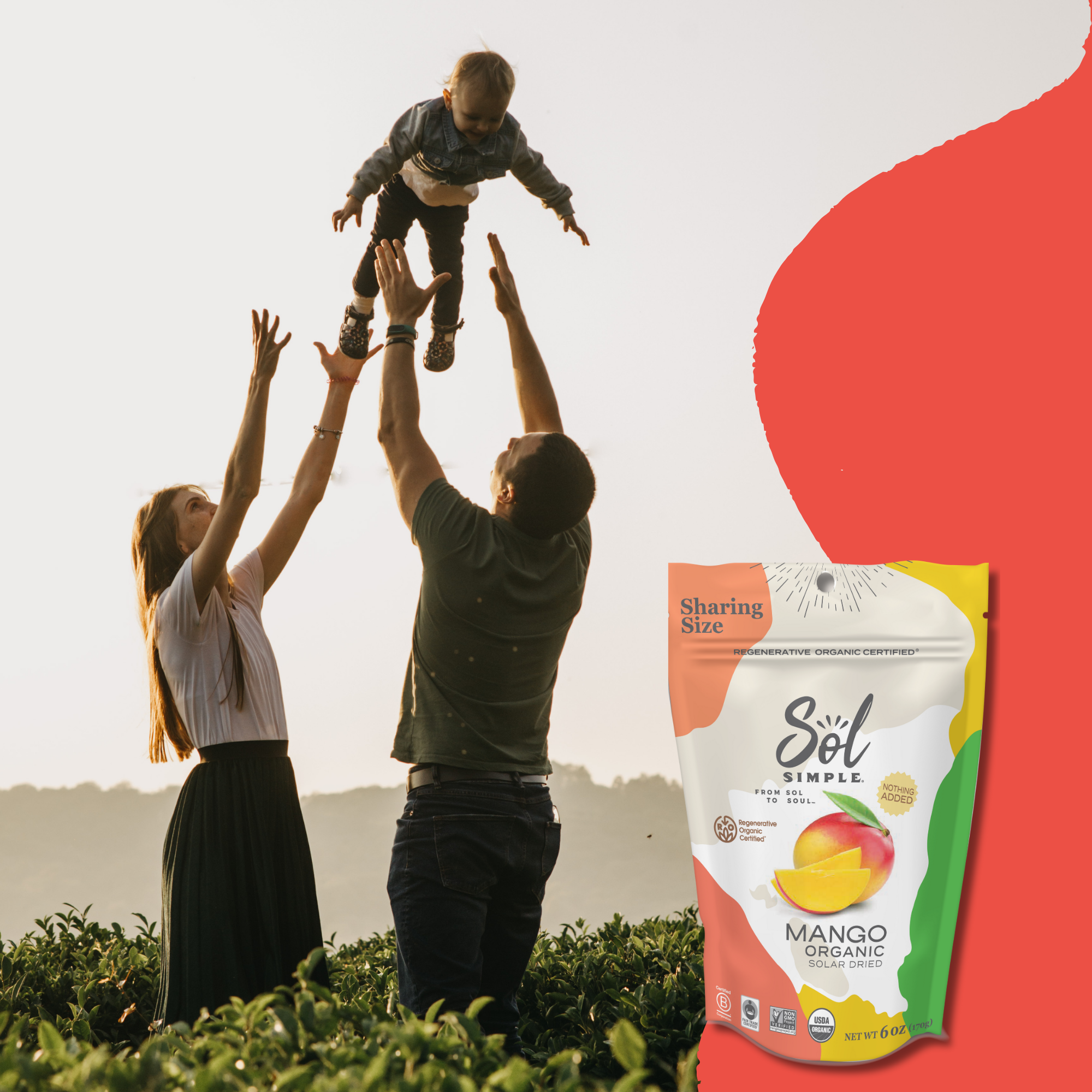 Sol Simple – wholesale Dried/dehydrated fruit – Regenerative Organic Certified Solar Dried Mango - 6oz9