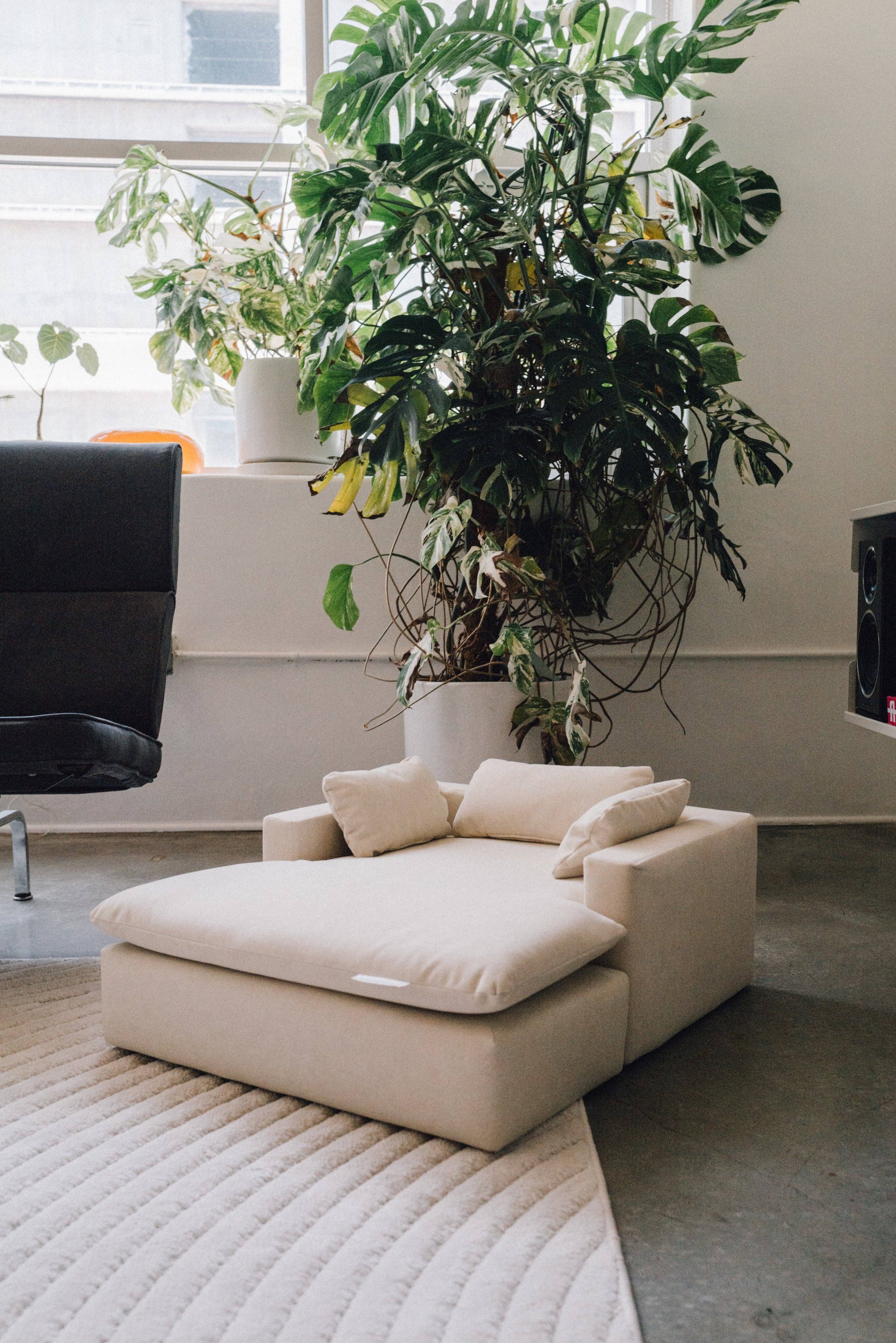 WHISKERHAUS LLC - Wholesale Pet Bed - Cat/Dog - WHISKERHAUS Premium Modern Luxury Cat and Dog Bed - LUXE3