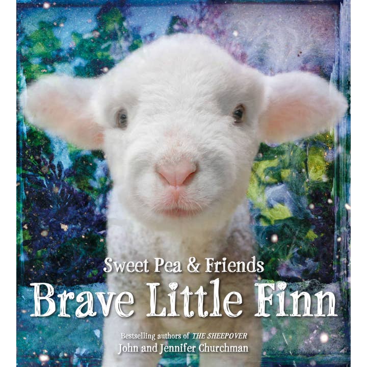 Brave Little Finn for wholesale by Hachette Book Group