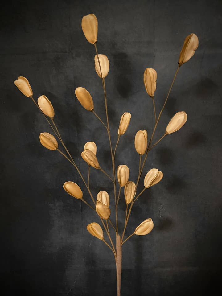 KHAKI PODS for wholesale by The Light Garden Collection