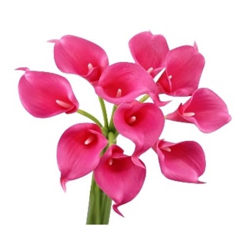 Angel Isabella - Wholesale Artificial Flowers - pack of 10 calla lilies-Pink Theme7