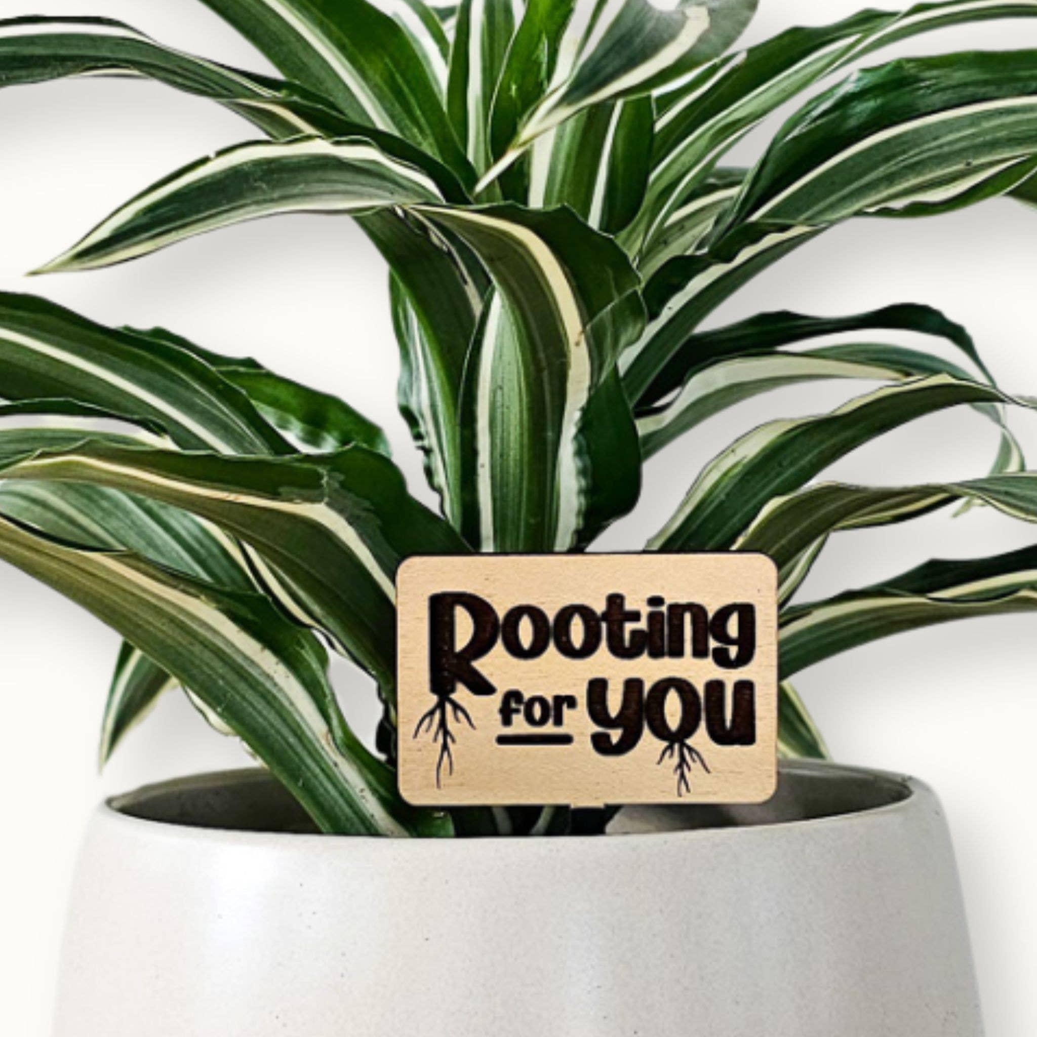 Leaf & Node - Wholesale Plant Pot - Funny Plant Sayings, Indoor Plant Accessories - Plant Stakes4