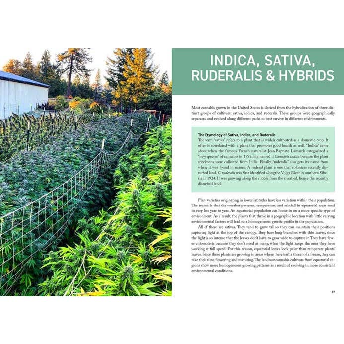 VisionWorks LLC - Wholesale Technology & Engineering - Cannabis Grower's Handbook, by Ed Rosenthal. 4