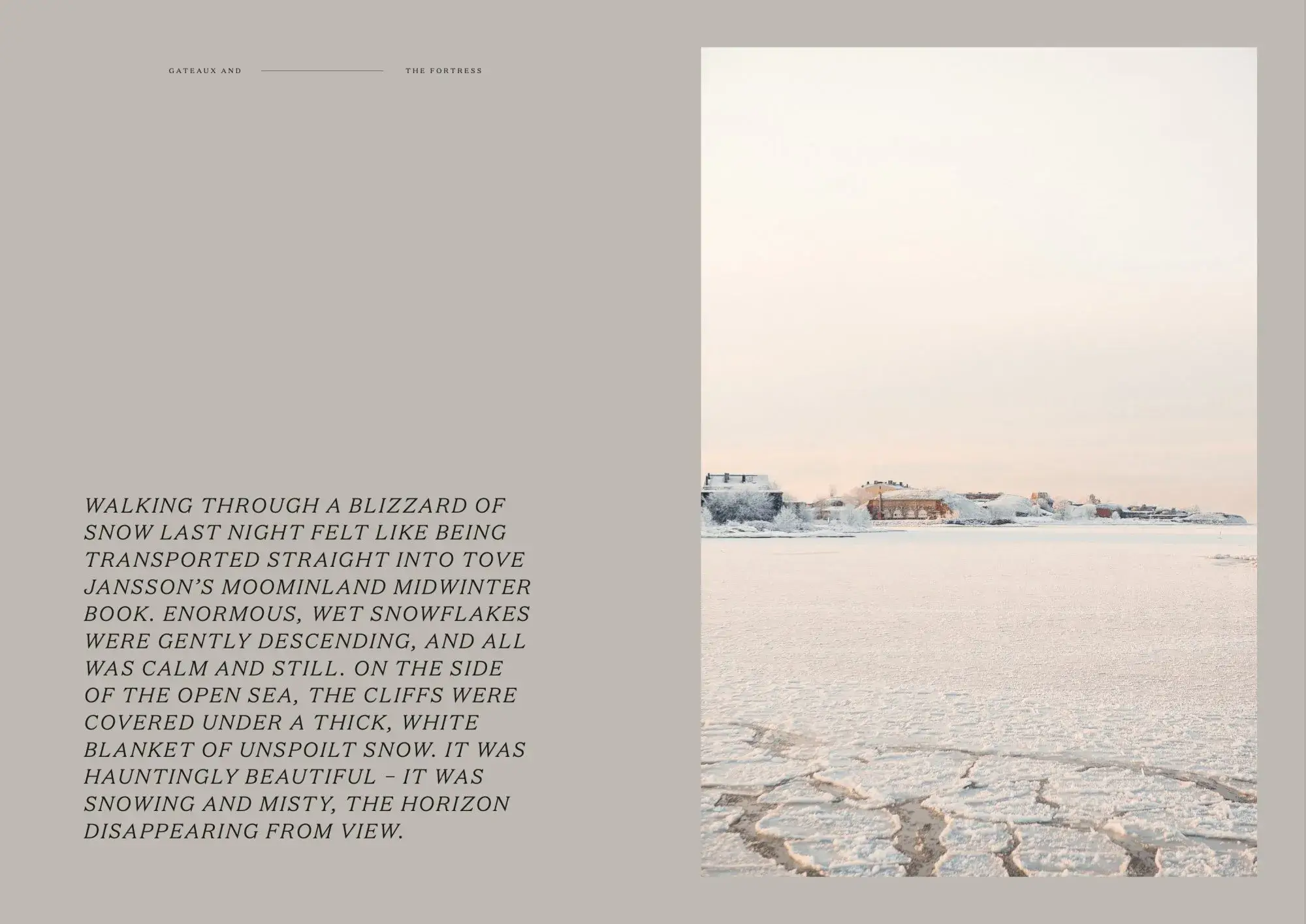 Cozy Publishing - Wholesale Baking & Dessert Book - Gateaux And The Fortress - baking book4