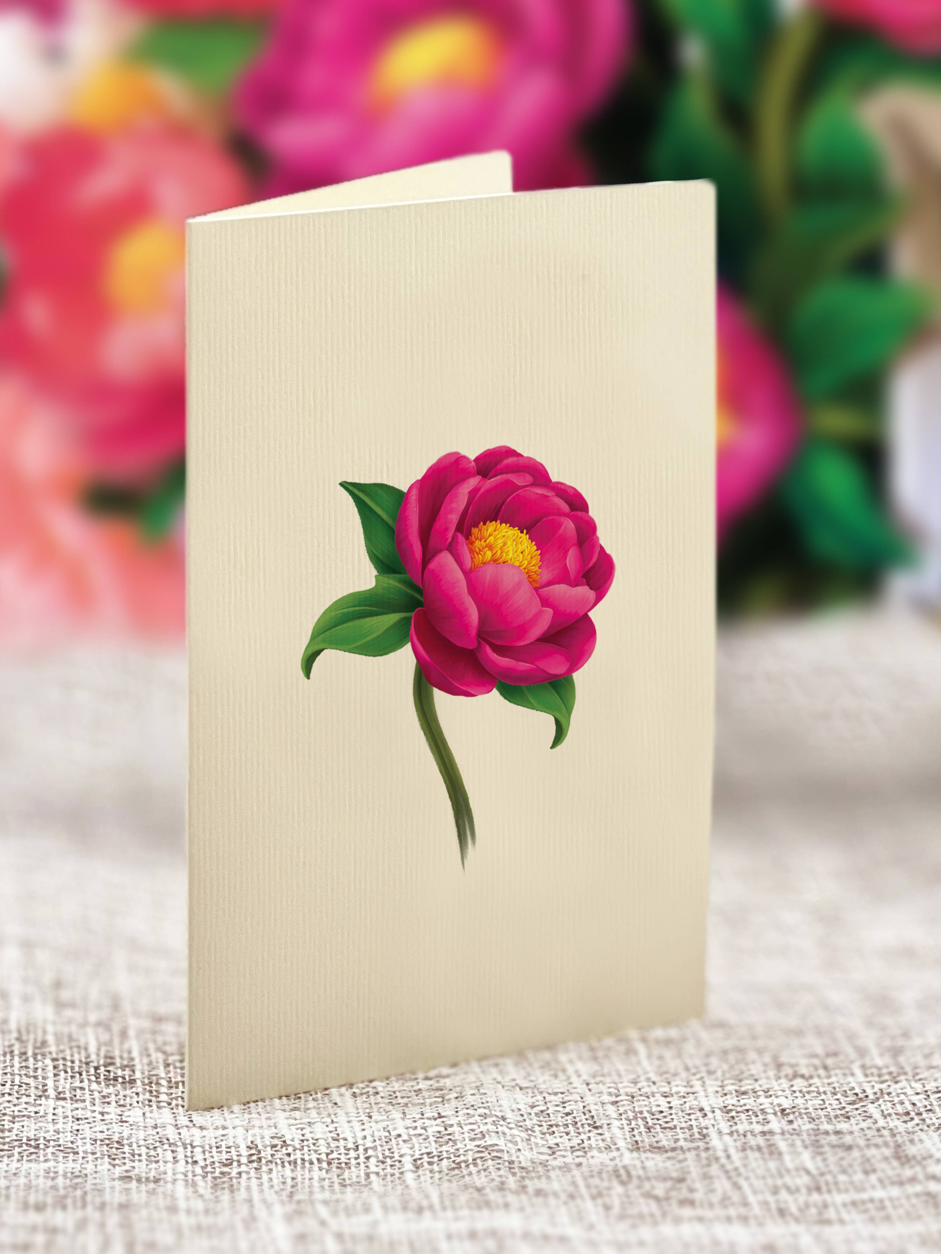 FreshCut Paper LLC - Wholesale Everyday Greeting Card - Mini Peony Paradise (10 Pop-up Greeting Cards)6