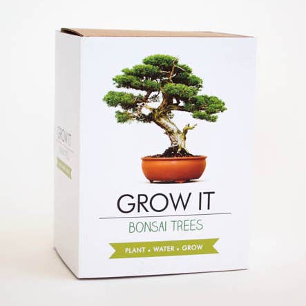 Kit per coltivare alberi bonsai per la vendita all'ingrosso da parte di Gift Republic