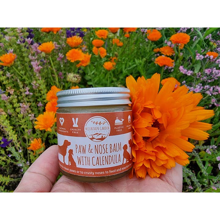 Mountain Garden Botanics - Wholesale Pet Balm - Dog - Calendula Paw and Nose Balm for Dogs
