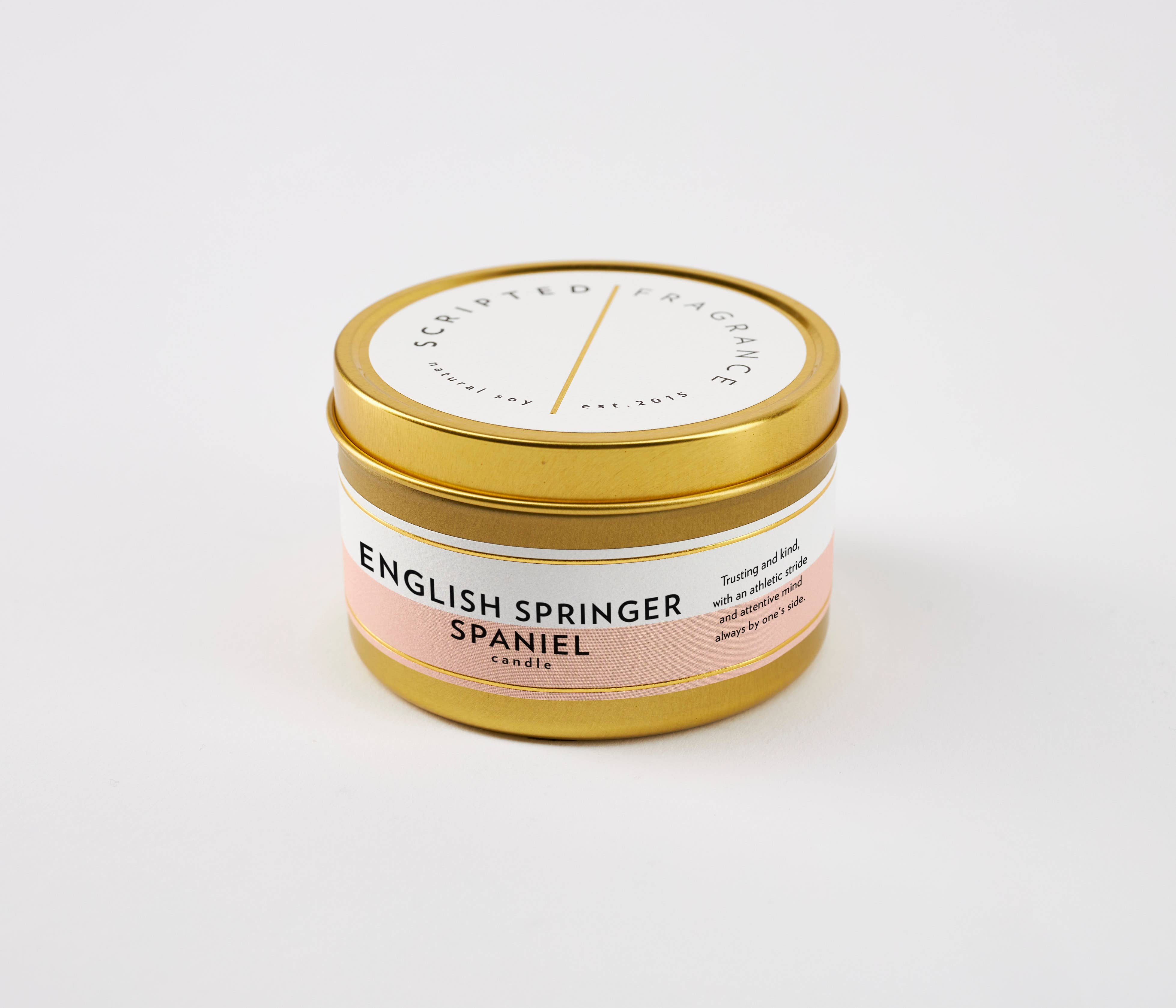 Scripted Fragrance - Wholesale Jar/Filled Candle - English Springer Spaniel Dog Breed Soy Candle2