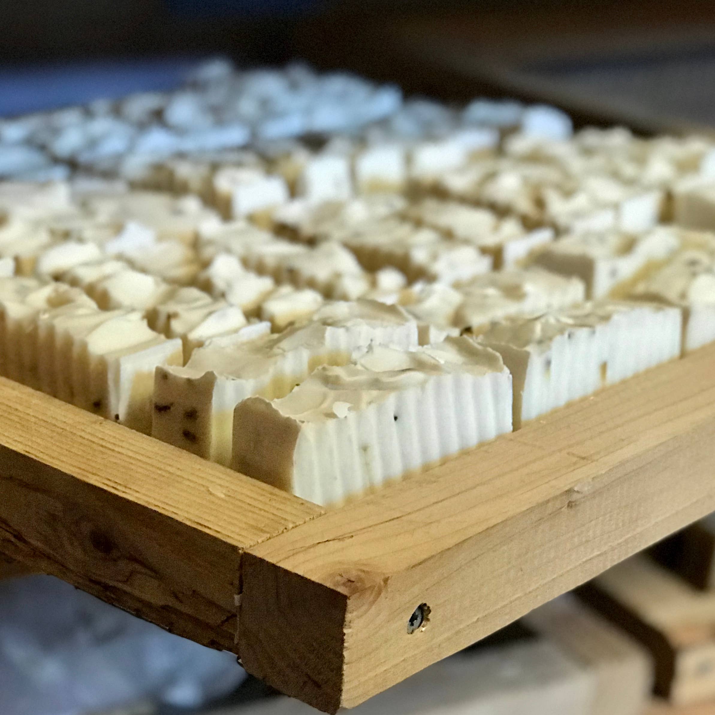 Cordoba Farms - Wholesale Pet Shampoo - Dog - RAD DOG Stink Relief Shampoo4