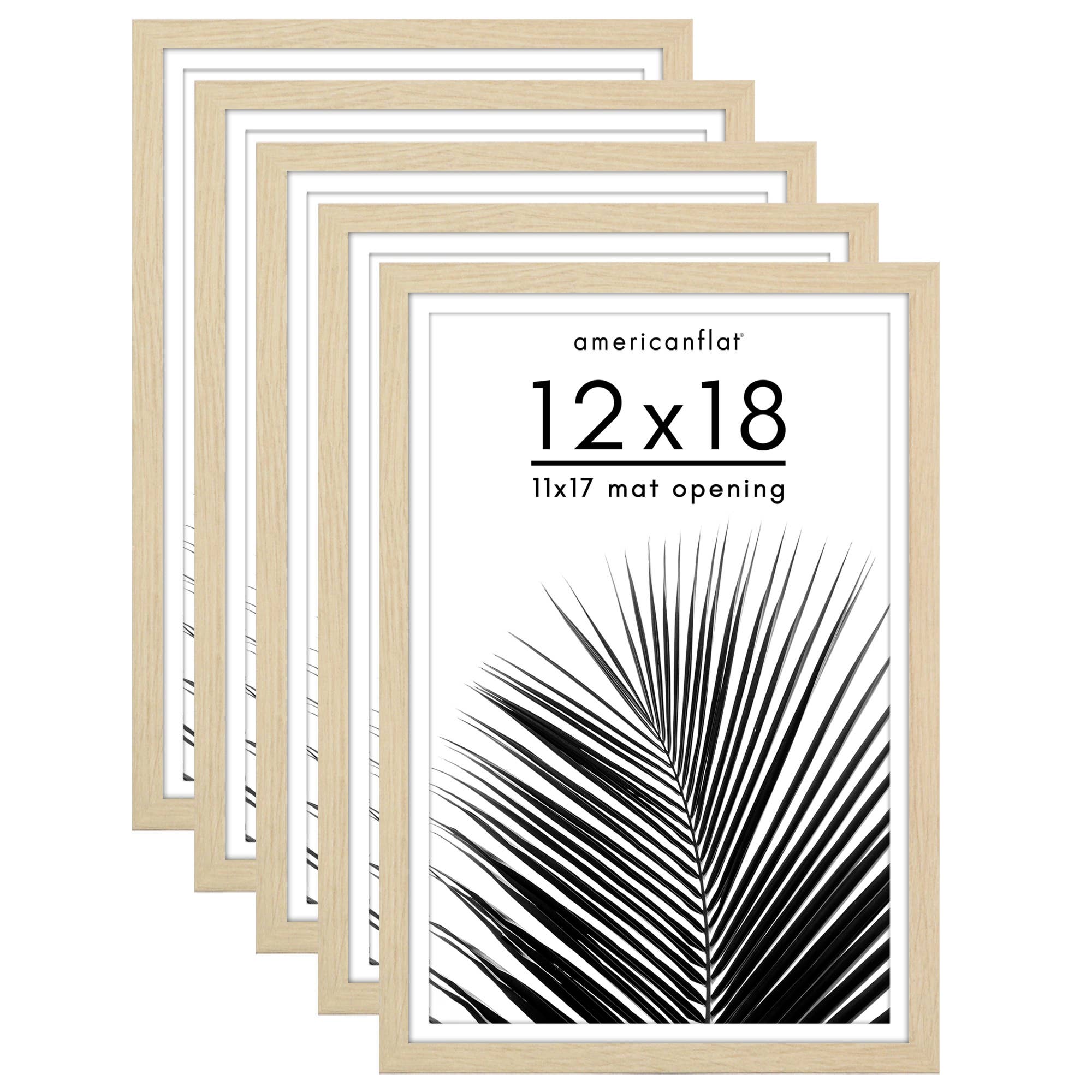 Americanflat - Wholesale Picture Frame - Americanflat 5 Pack Picture Frames With Mat Plexiglass Cover48