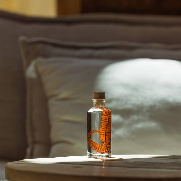 Theophile Berthon - Wholesale Live Plant - The Felci Red Fern Herbarium - submerged plant