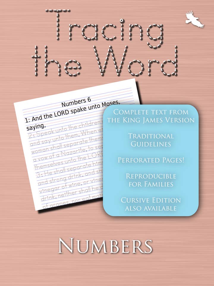 Tracing the Word: Numbers (Manuscript) for wholesale by The 4031 Family