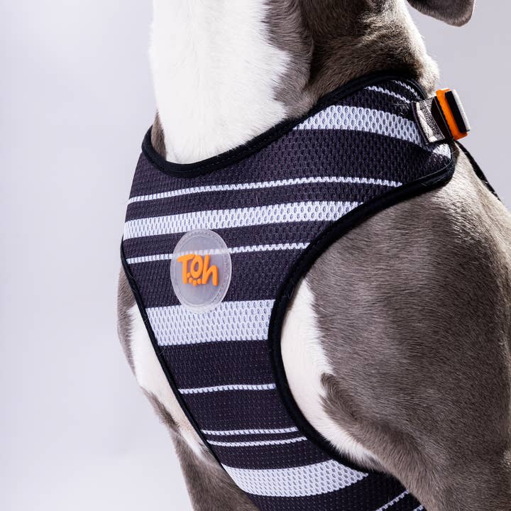 Toh - Wholesale Pet Harness - Dog - H-Mesh Dog Harness Eclipse1