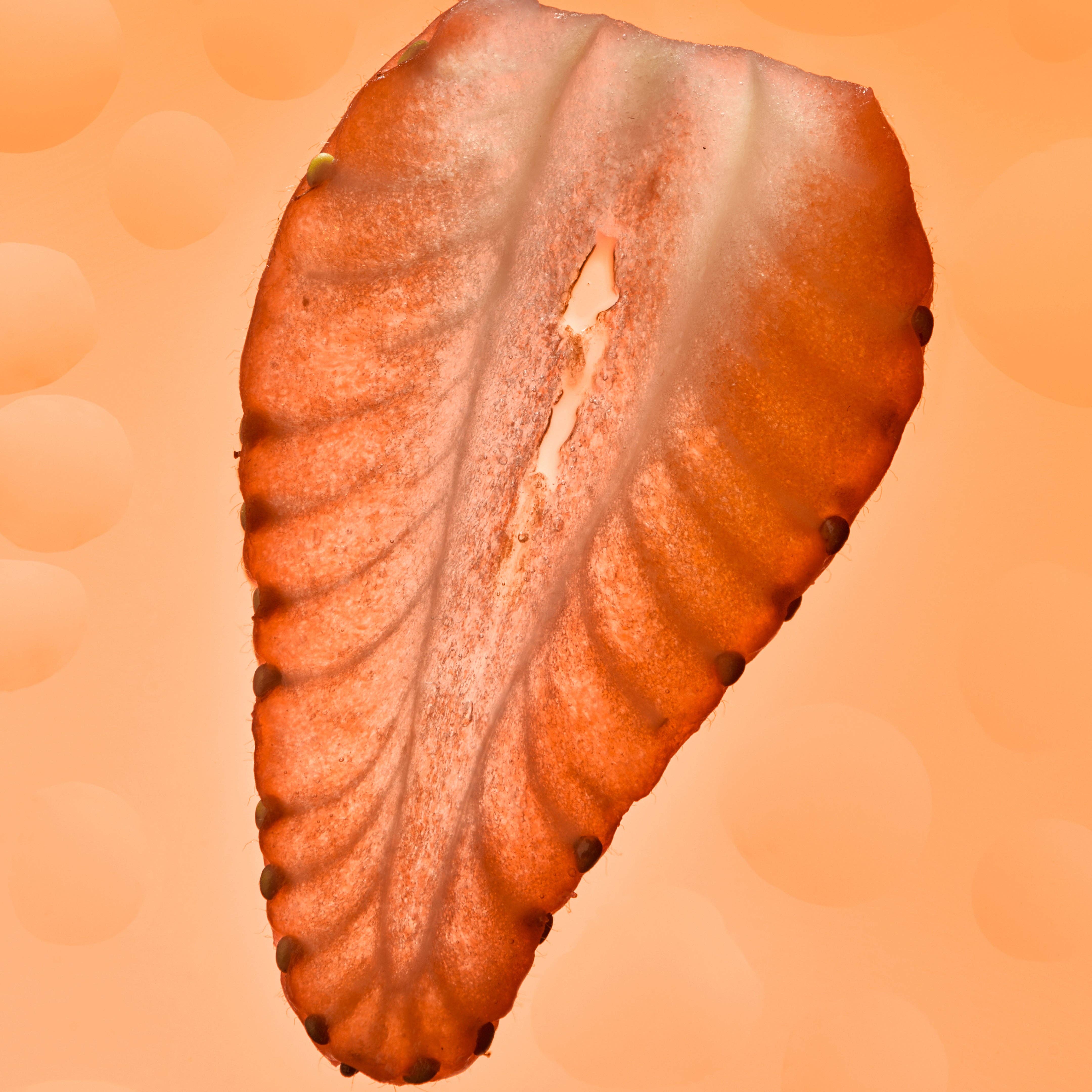 Mojo Gummies - Vente Supplément oral/vitamine - Gummies Cheveux, Peau & Ongles5