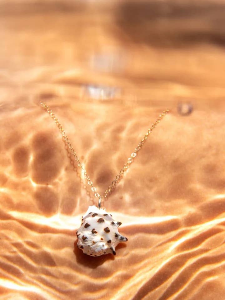 Drupe Shell Gold Necklace for wholesale by The Coconut Collective