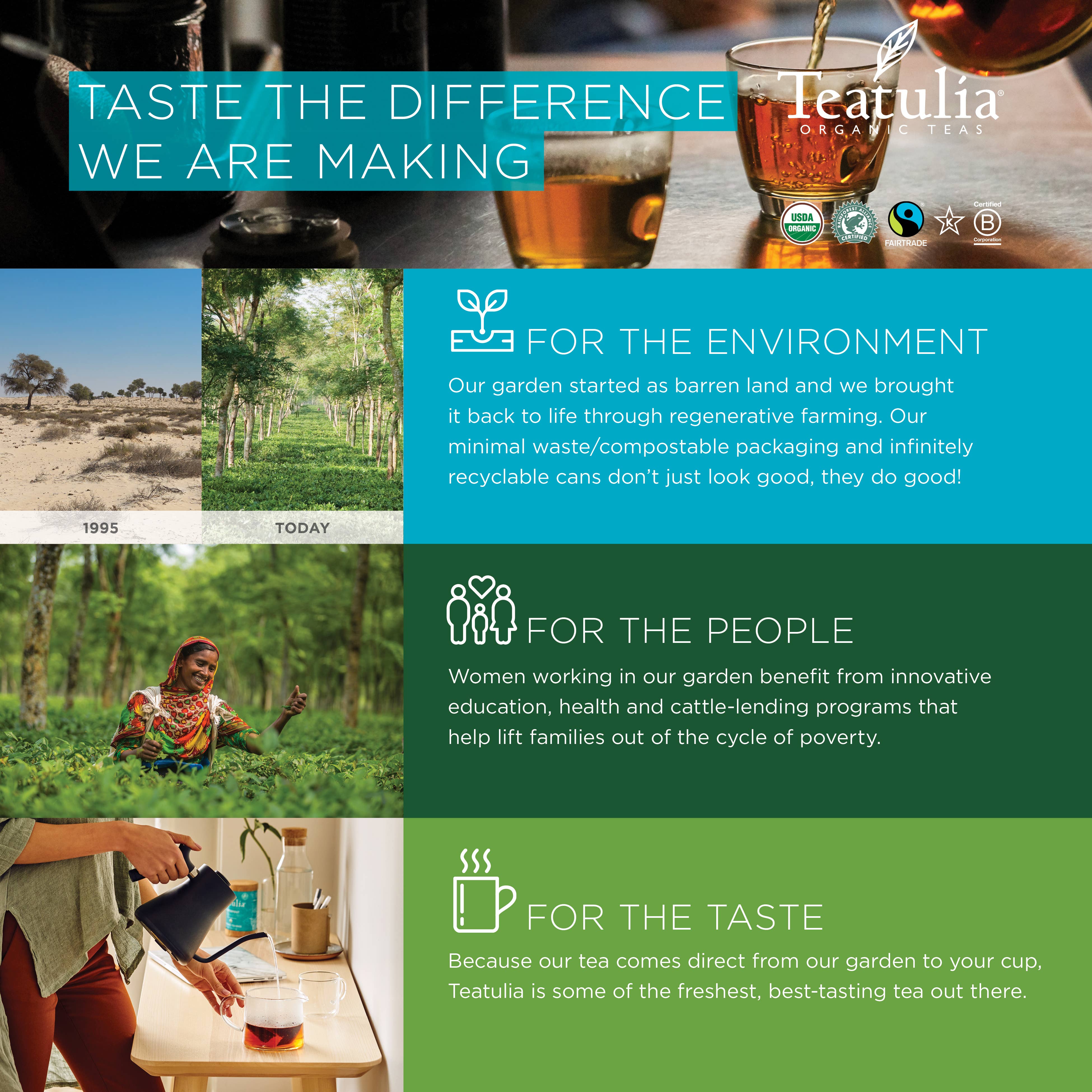 Teatulia Organic Teas - Vente Sachets de thé - Sachets de thé carrés bio emballés Masala Chai4