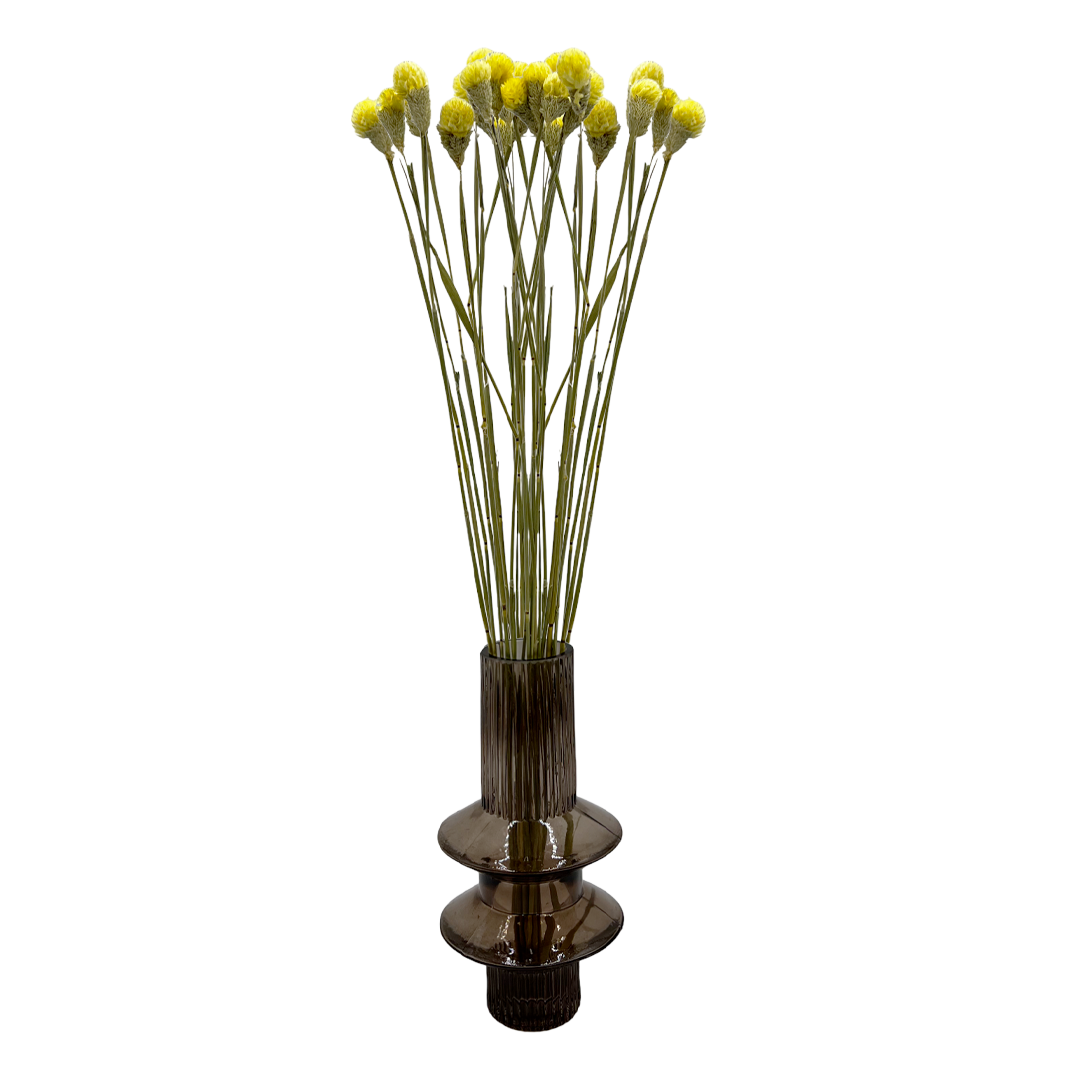 2626 Designs – Engroshandel Tørrede/pressede blomster – Tørret Gomphrena Globosa, 56-61 cm lang, 16 stk/bundt4